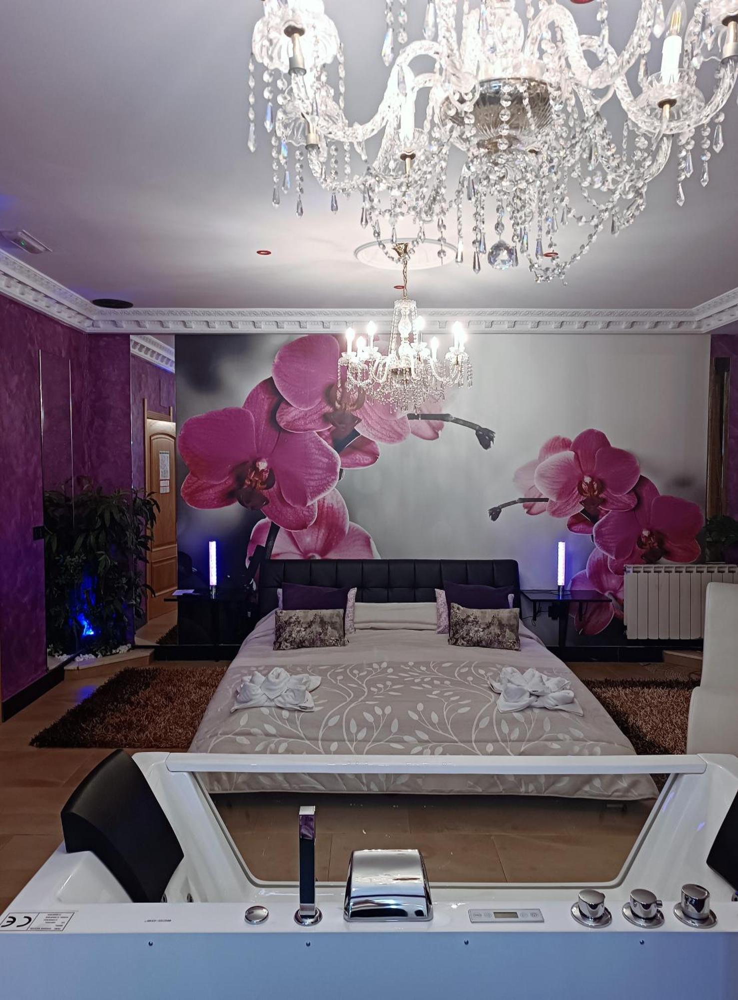 Paraiso Vip Tematico (adults Only)